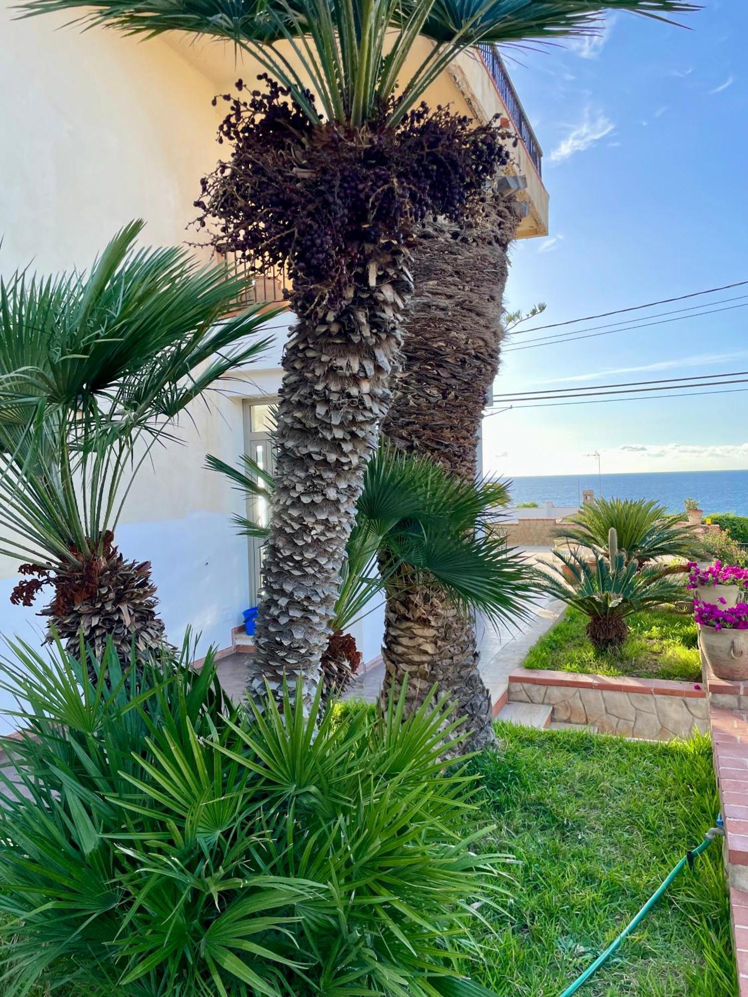 Villa Sul Mare Palazzolo Trappeto  Extérieur photo